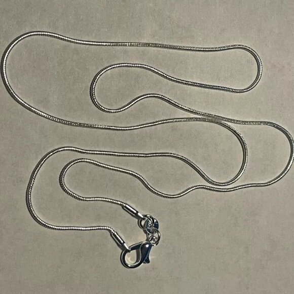 Minnesota Twins MLB Memory Charm Locket w/ 22 IN chain NEW - Picture 3 of 3